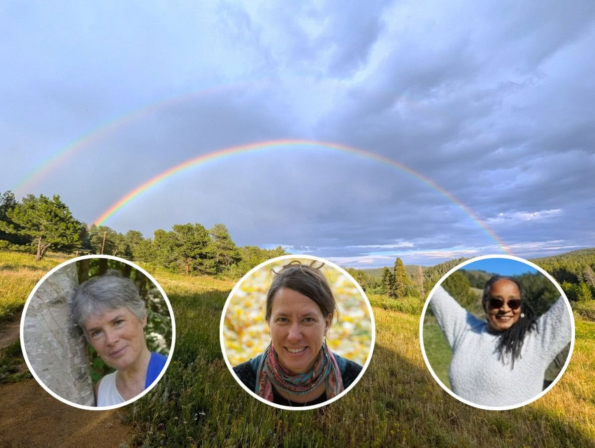 Zen Sesshin, Ecodharma e Ritiro in Natura Kinning