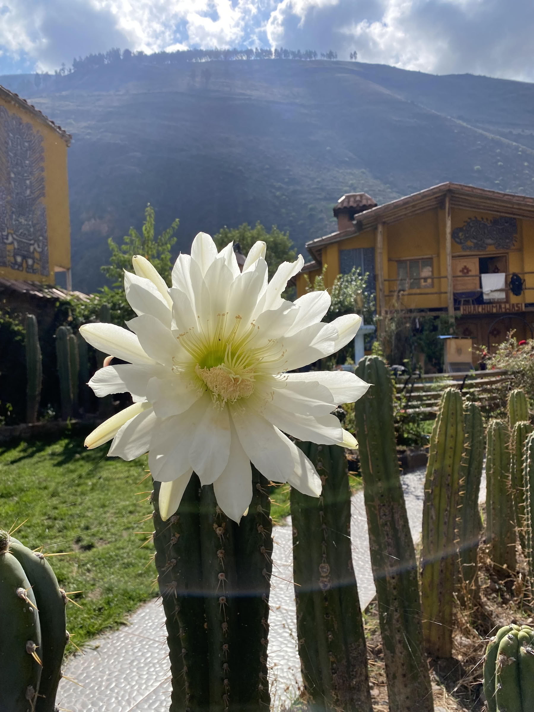 Cerimonia di San Pedro