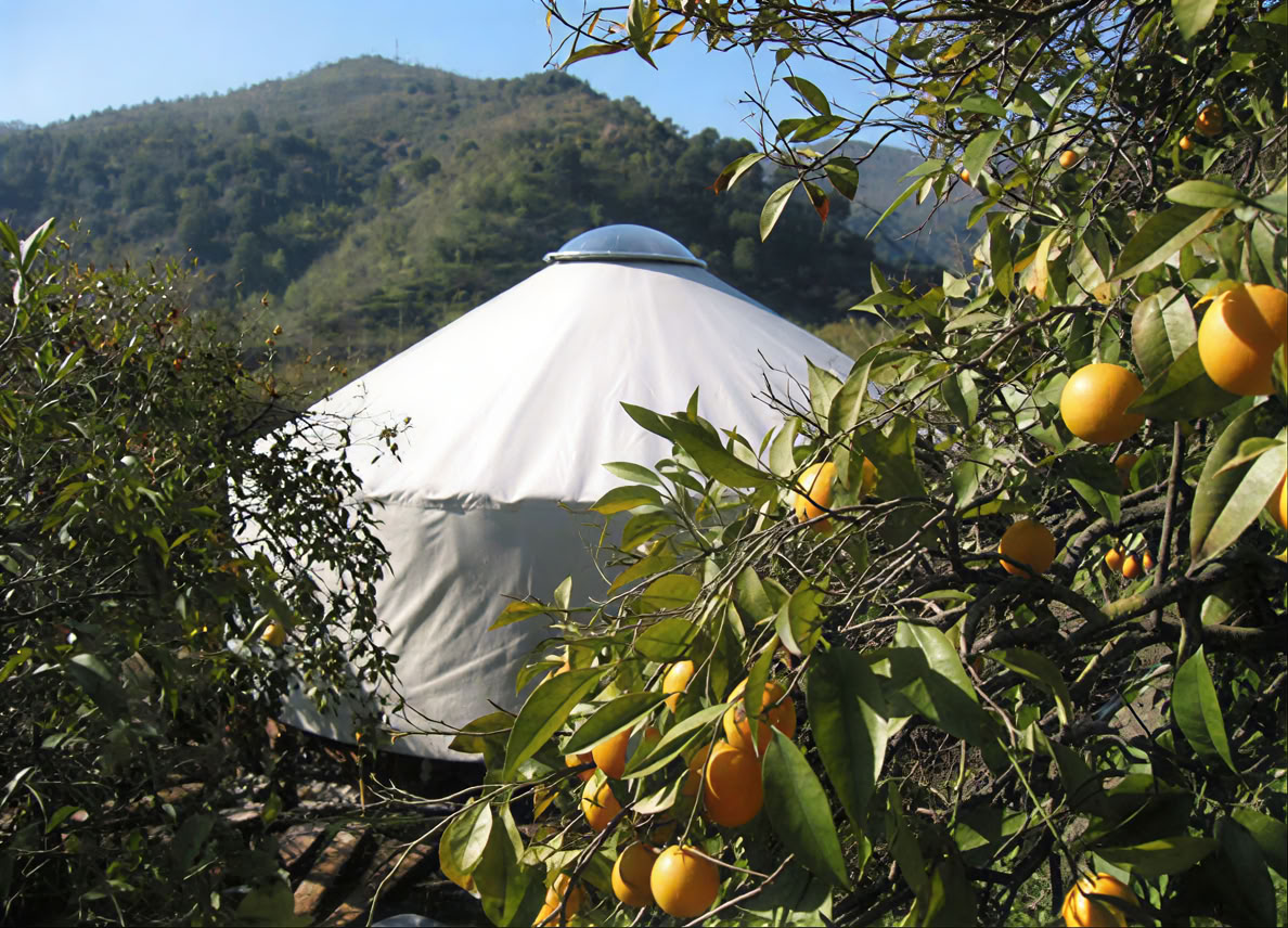1 giorno Cerimonie di Huachuma