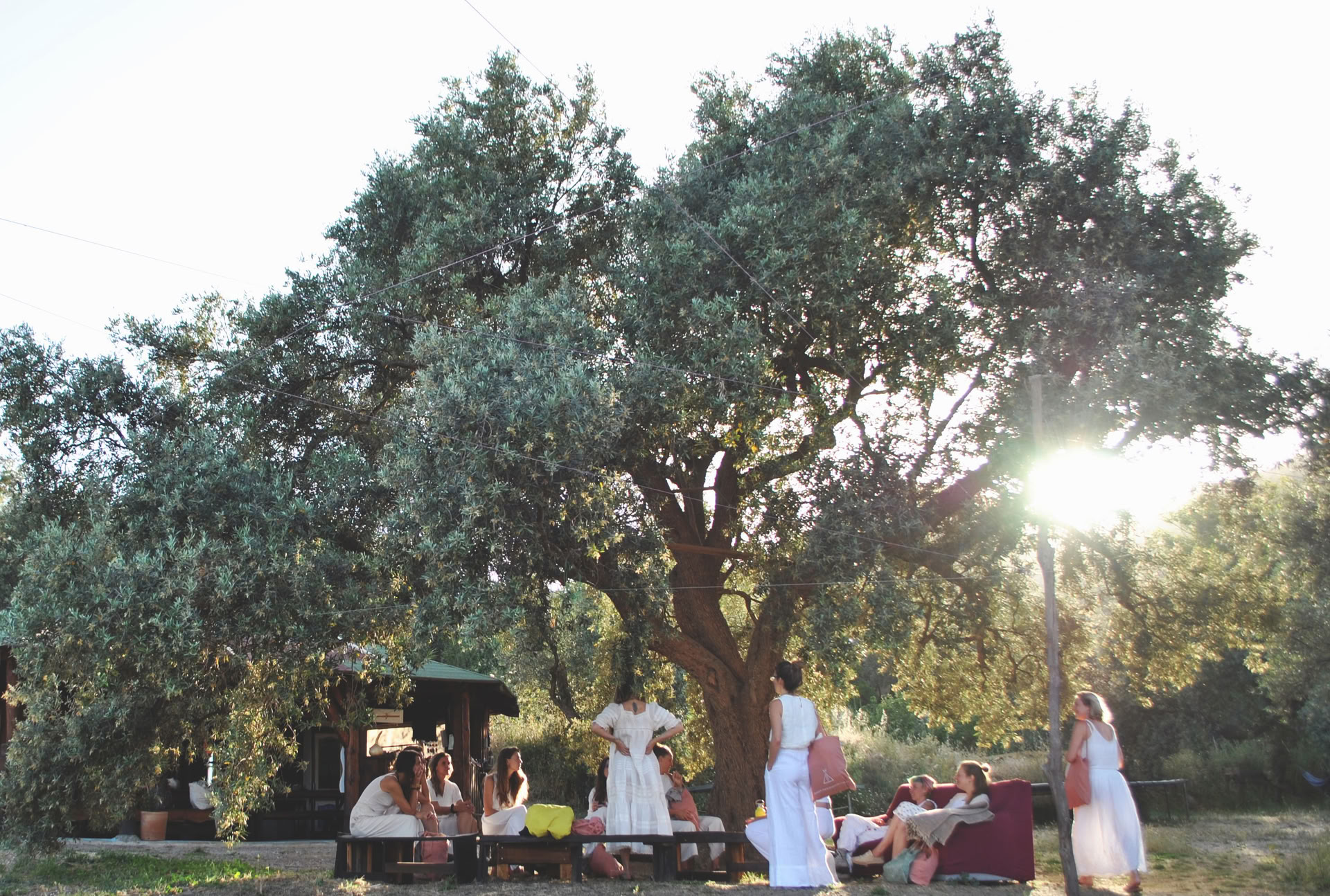 Donne della Nuova Terra