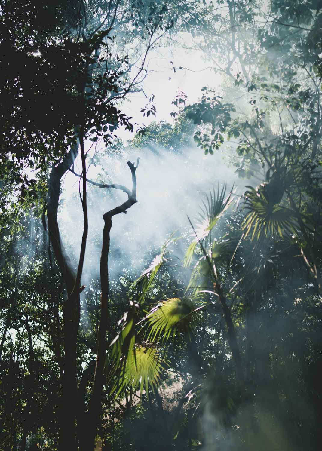 Sacred Flow Ritiro – 12th - 19th December 2026
