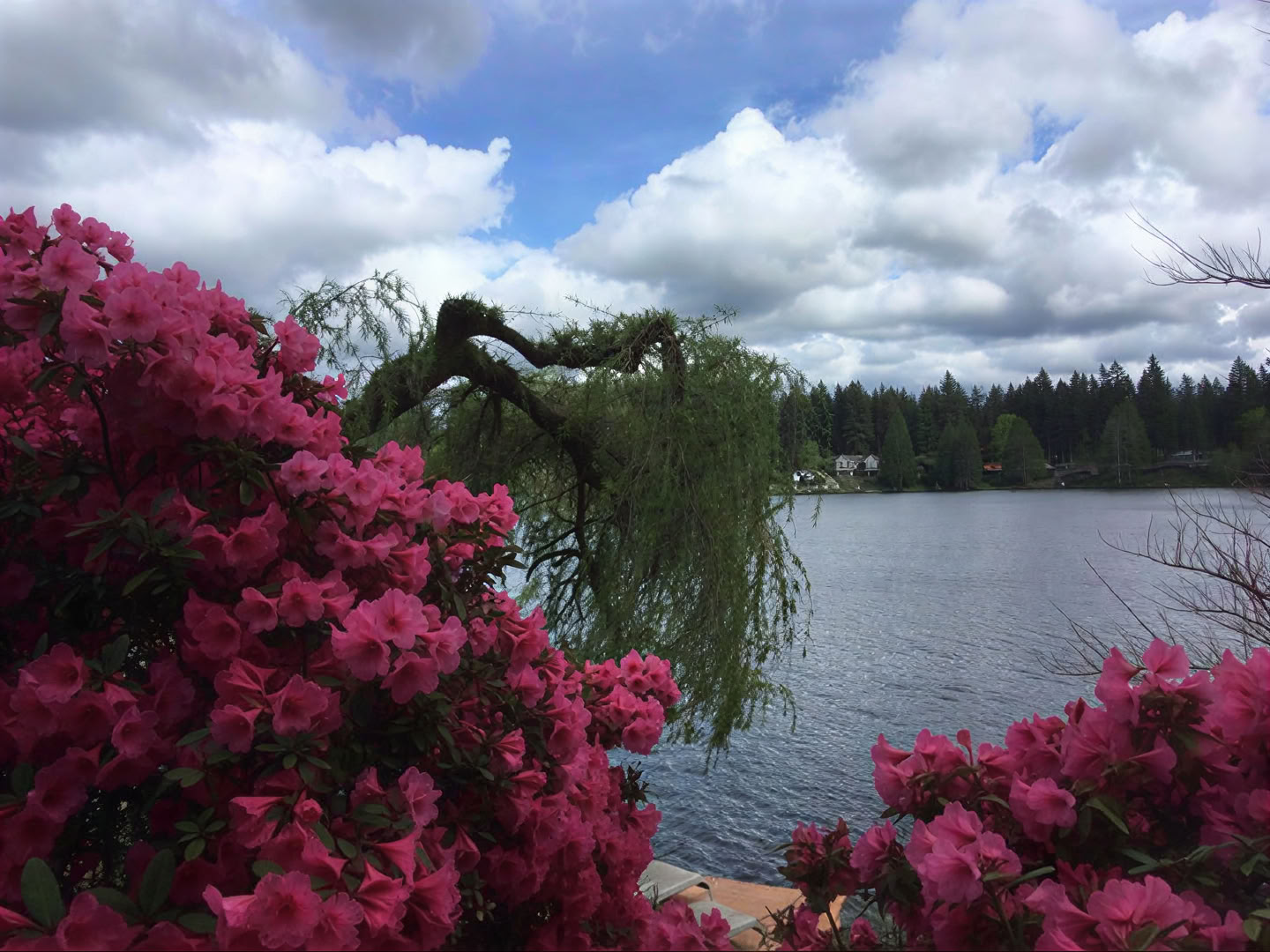 Cottage Lake Bed and Breakfast Ritiro Spirituale