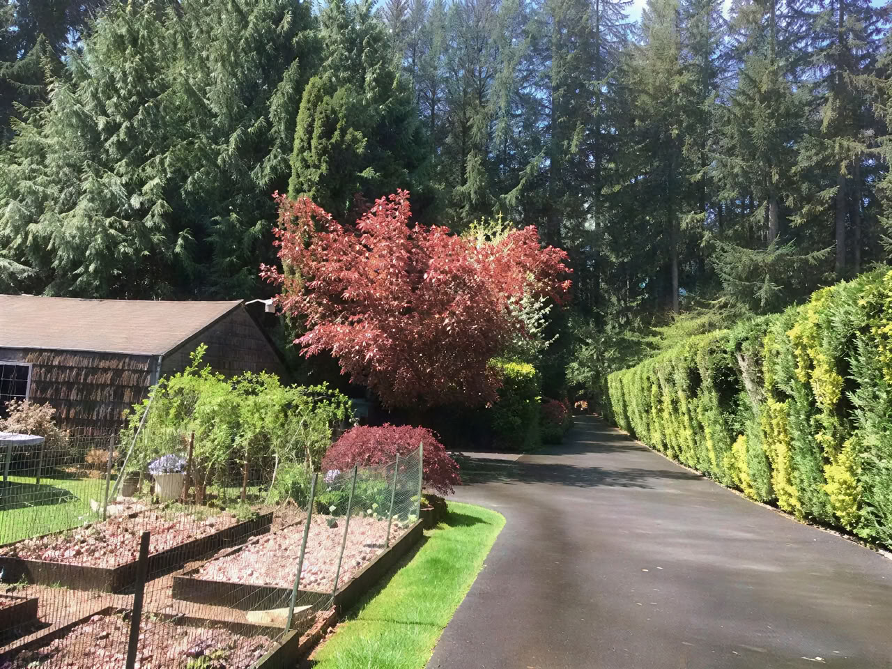 Cottage Lake Bed and Breakfast Ritiro Spirituale