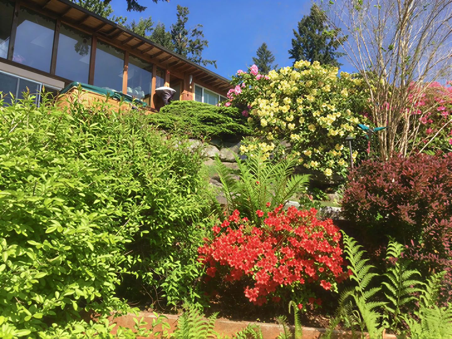 Cottage Lake Bed and Breakfast Ritiro Spirituale
