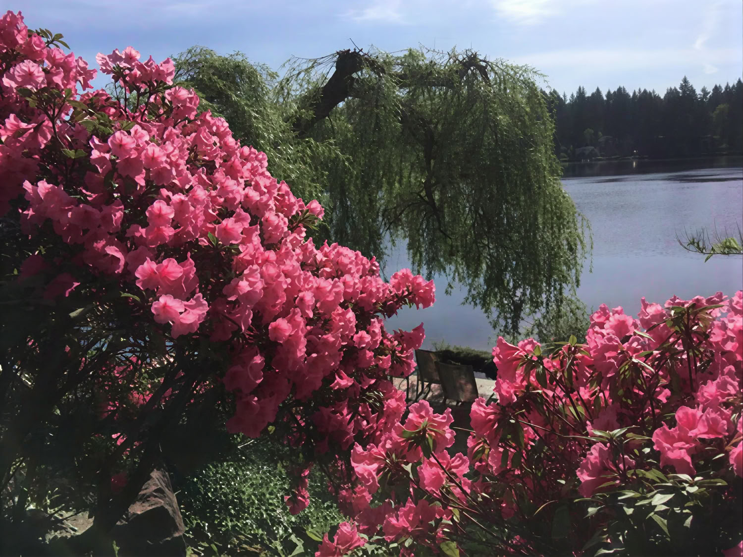 Cottage Lake Bed and Breakfast Ritiro Spirituale