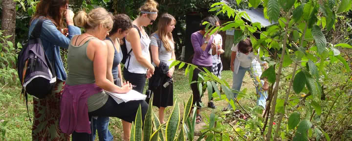 Ritiro di Medicina Erboristica e Yoga: NUOVA DATA 5-10 settembre 2026