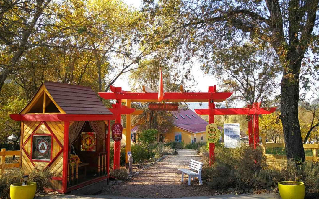 Ashram Sacred Tour – Introduzione allo Yoga Sivananda