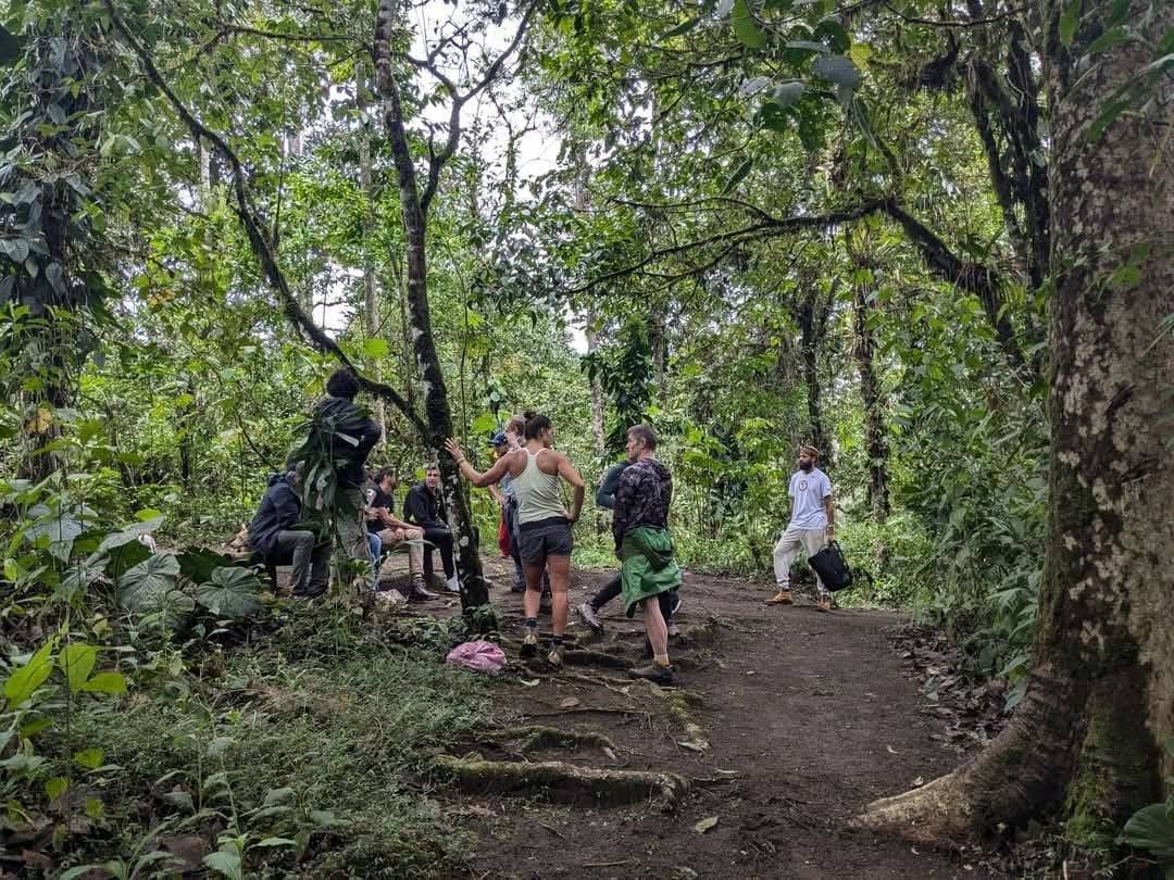 3 giorni - Ritiro San Pedro & Ayahuasca