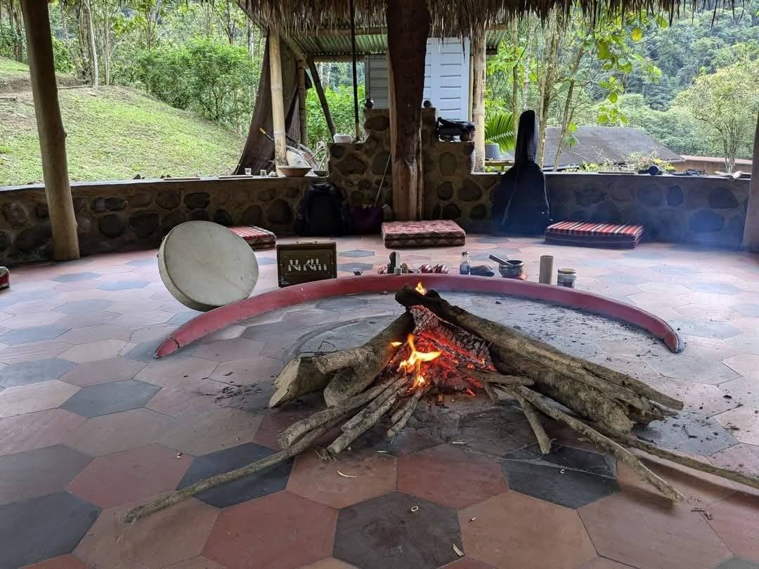 Cerimonia di Ayahuasca alla luce del giorno presso Hayulima Natural Reserve