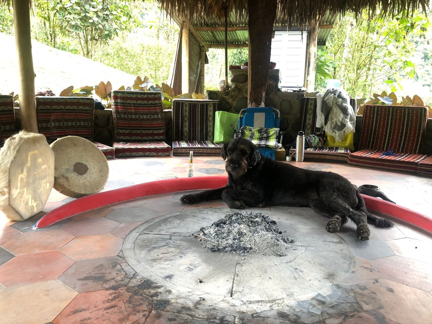 Cerimonia di Ayahuasca alla luce del giorno presso Hayulima Natural Reserve