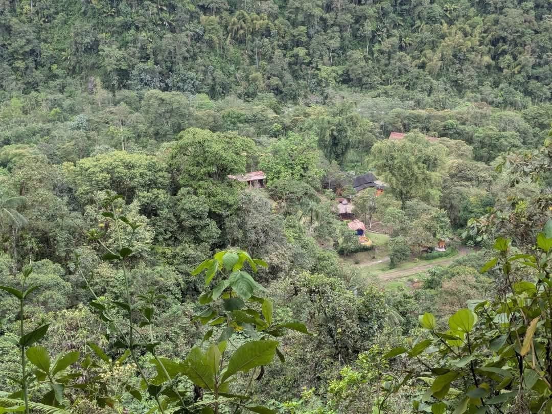 Cerimonia di Ayahuasca alla luce del giorno presso Hayulima Natural Reserve