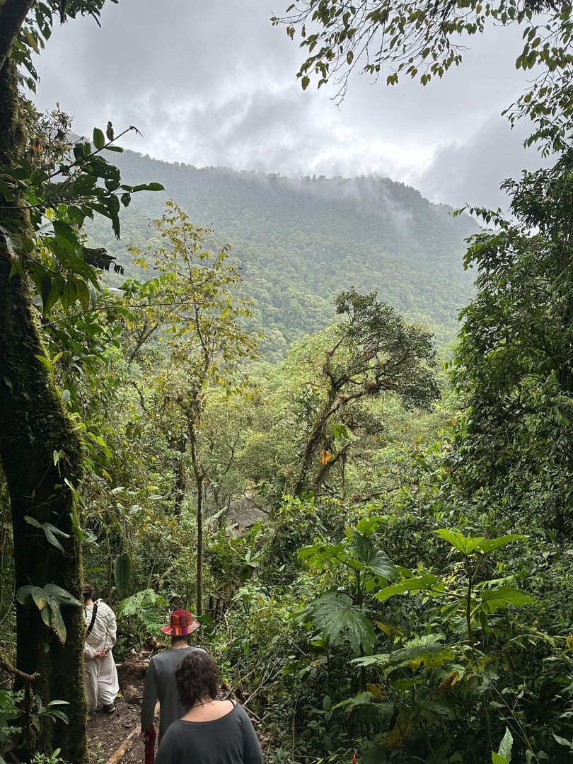 Cerimonia di Ayahuasca alla luce del giorno presso Hayulima Natural Reserve