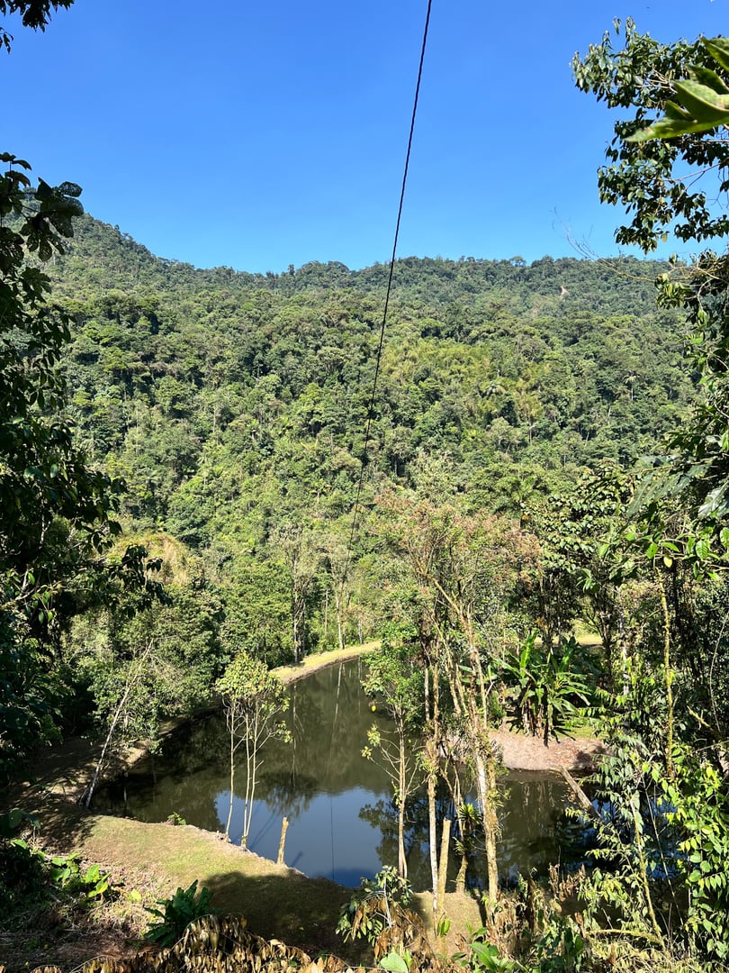 San Pedro Temazcal Ceremony at Hayulima, Riserva Naturale