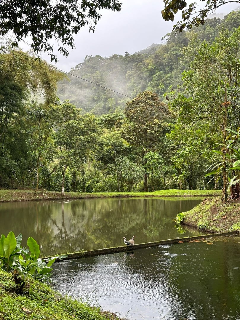 10 Giorni di Ritiro nella Riserva Naturale di Hayulima