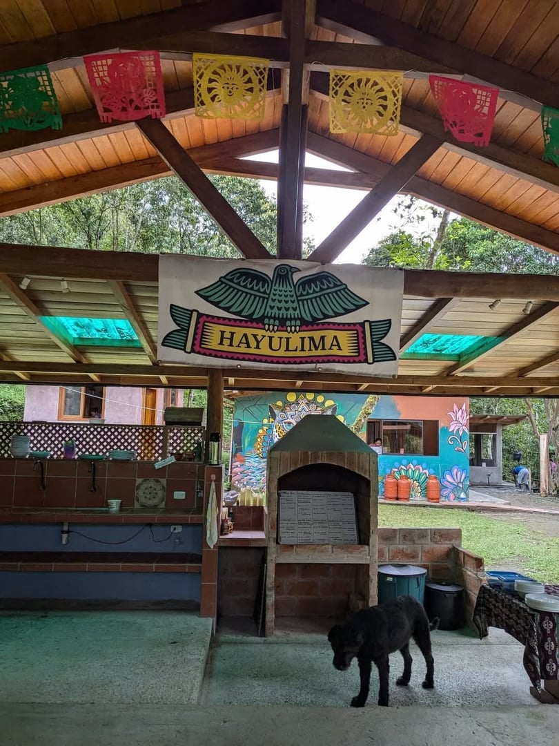 3 giorni – San Pedro e Ayahuasca – Viaggio del fine settimana