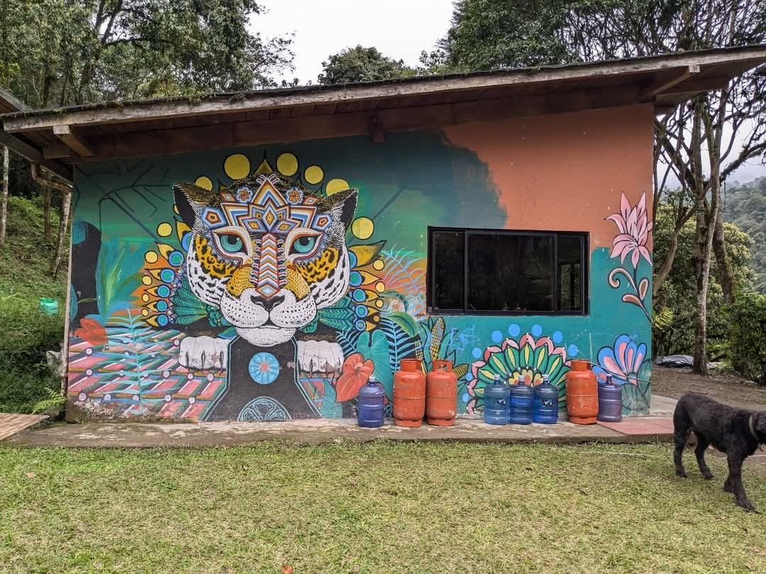 3 giorni – San Pedro e Ayahuasca – Viaggio del fine settimana