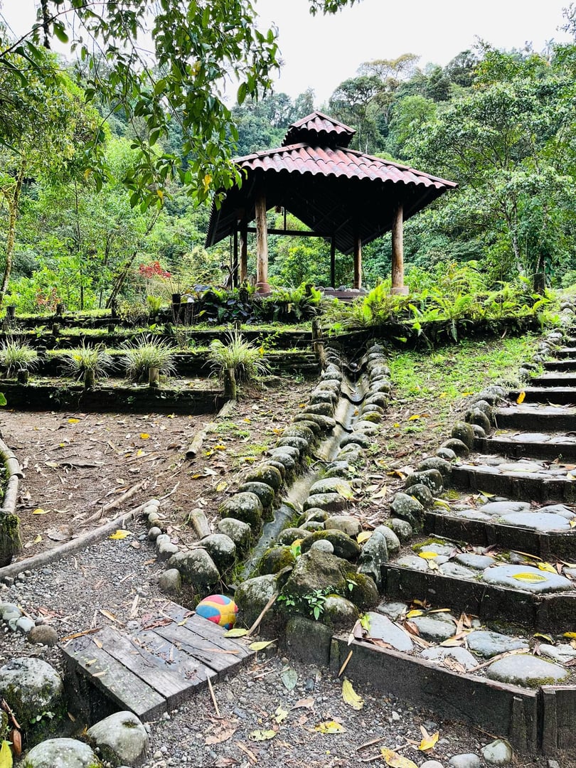 3 giorni – San Pedro e Ayahuasca – Viaggio del fine settimana