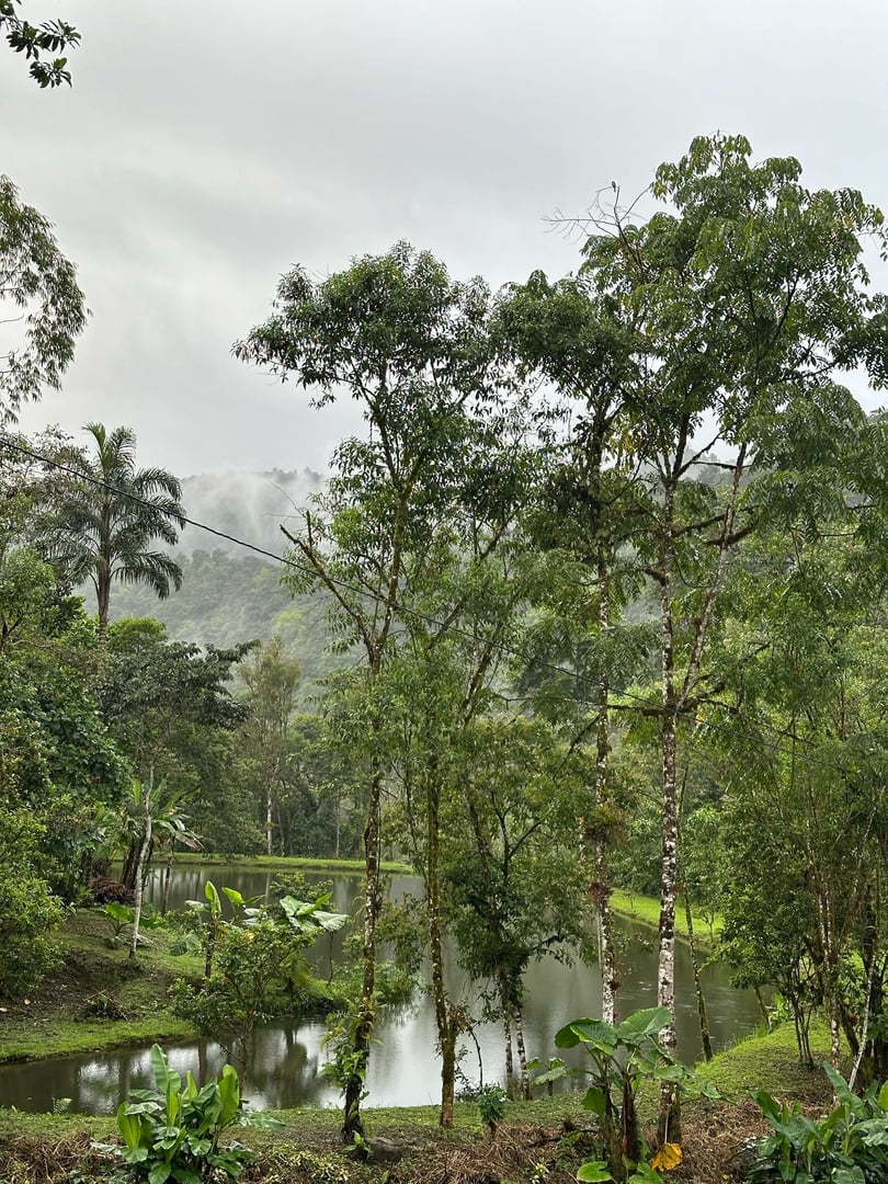3 giorni – San Pedro e Ayahuasca – Viaggio del fine settimana