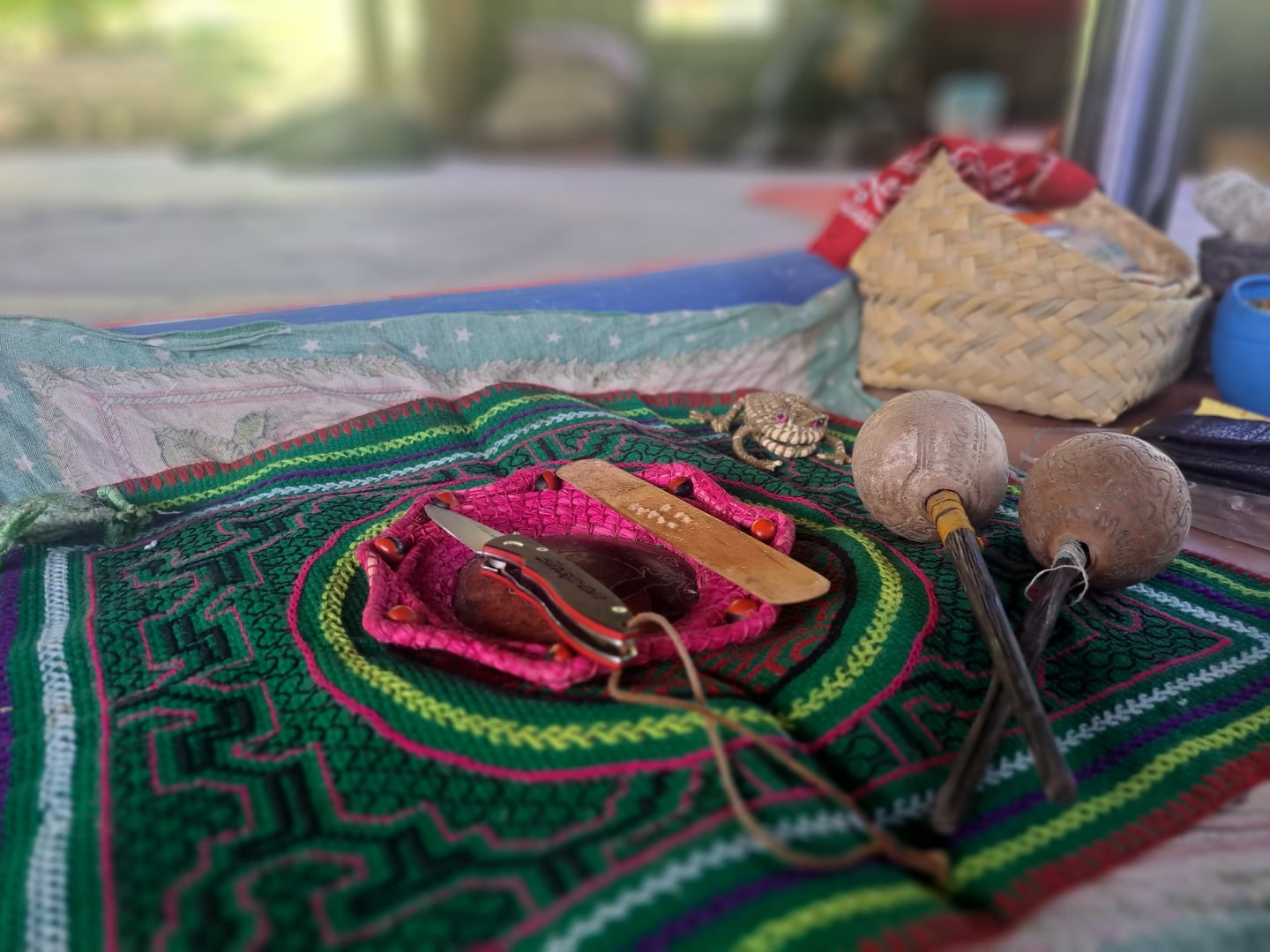 Cerimonia di Ayahuasca presso la Riserva Naturale Hayulima – 11 luglio 2026