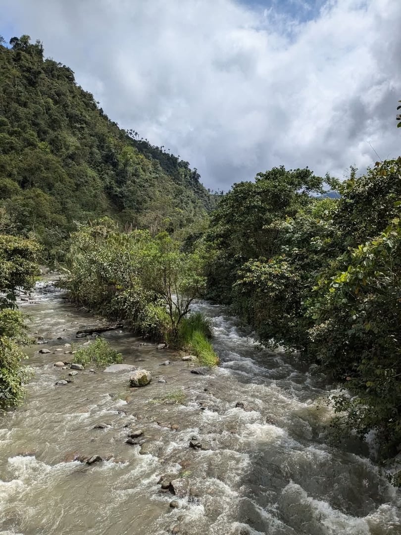 Cerimonia di Ayahuasca presso la Riserva Naturale Hayulima – 11 luglio 2026
