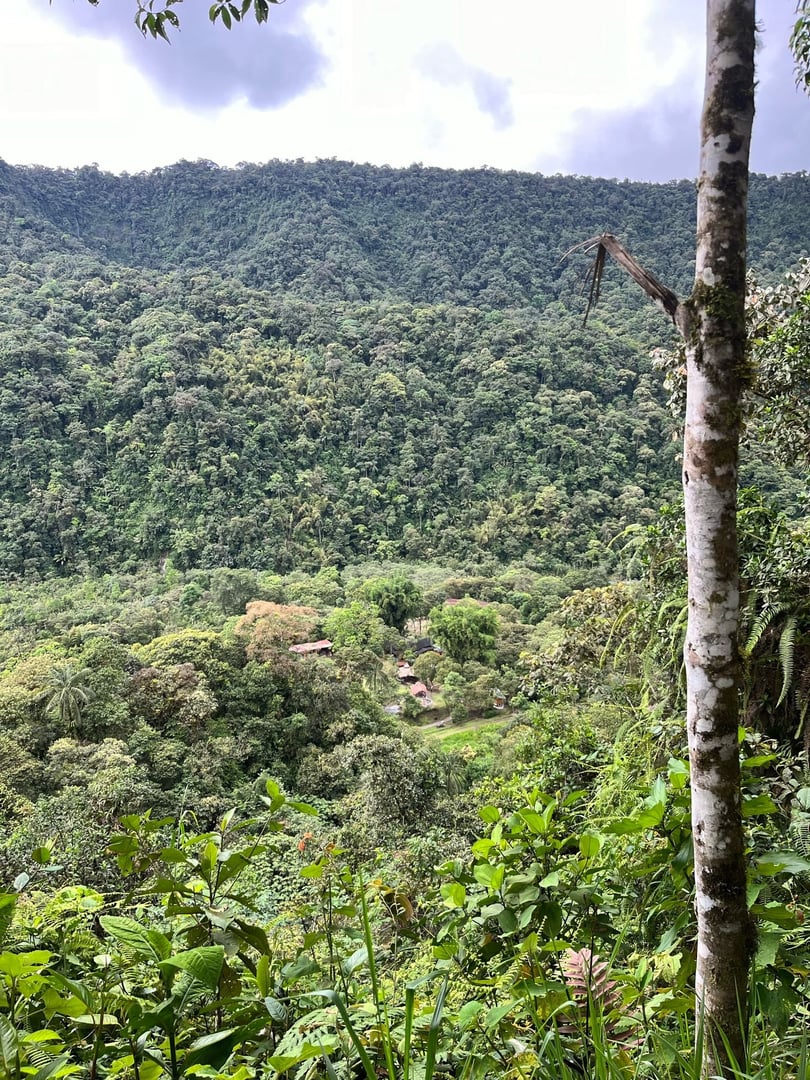 Cerimonia di Ayahuasca presso la Riserva Naturale Hayulima – 11 luglio 2026