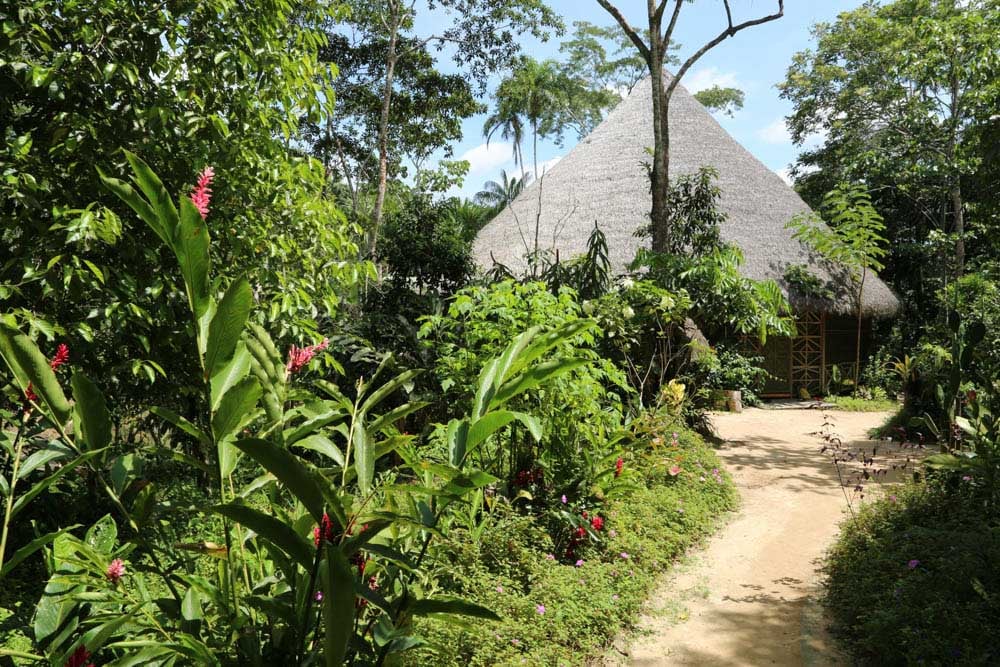 Living In Alignment: Ritiro di guarigione con Ayahuasca