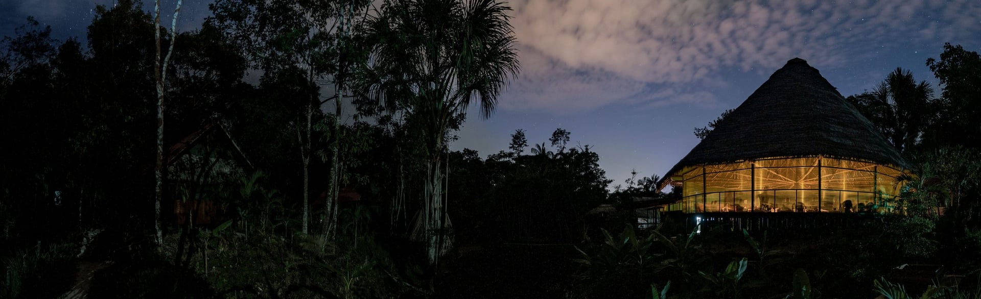 Ayahuasca Healing Ritiro + Ritiro di Integrazione di 5 Giorni