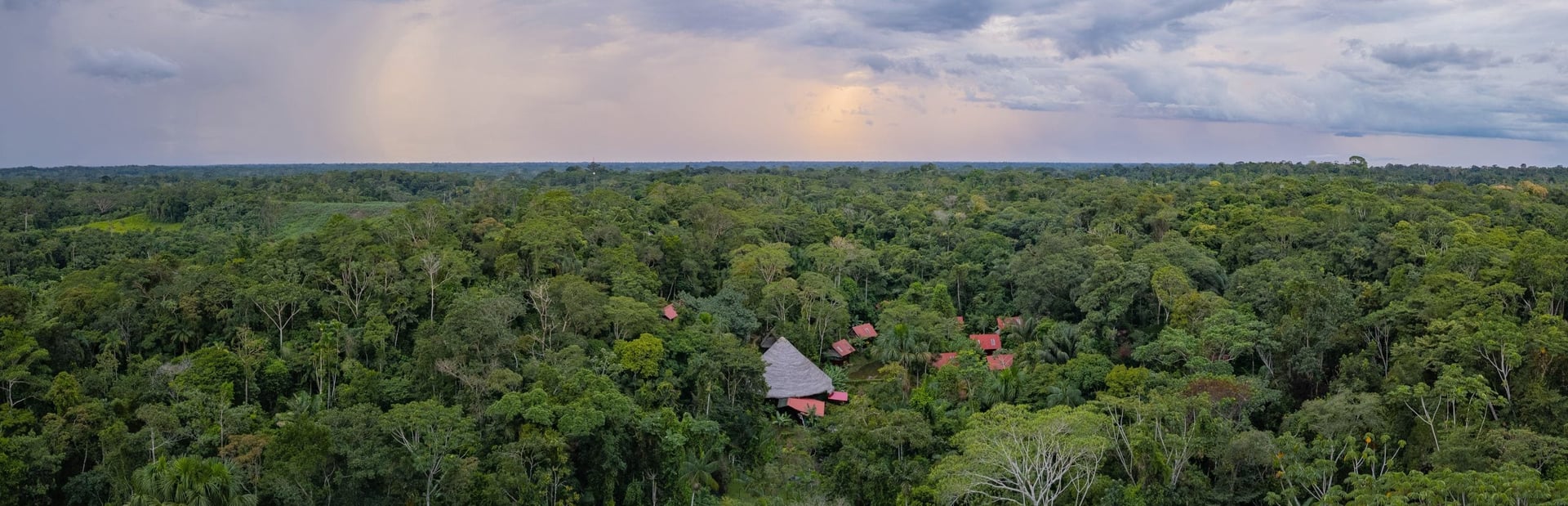 Ayahuasca Healing Ritiro + Ritiro di Integrazione di 5 Giorni