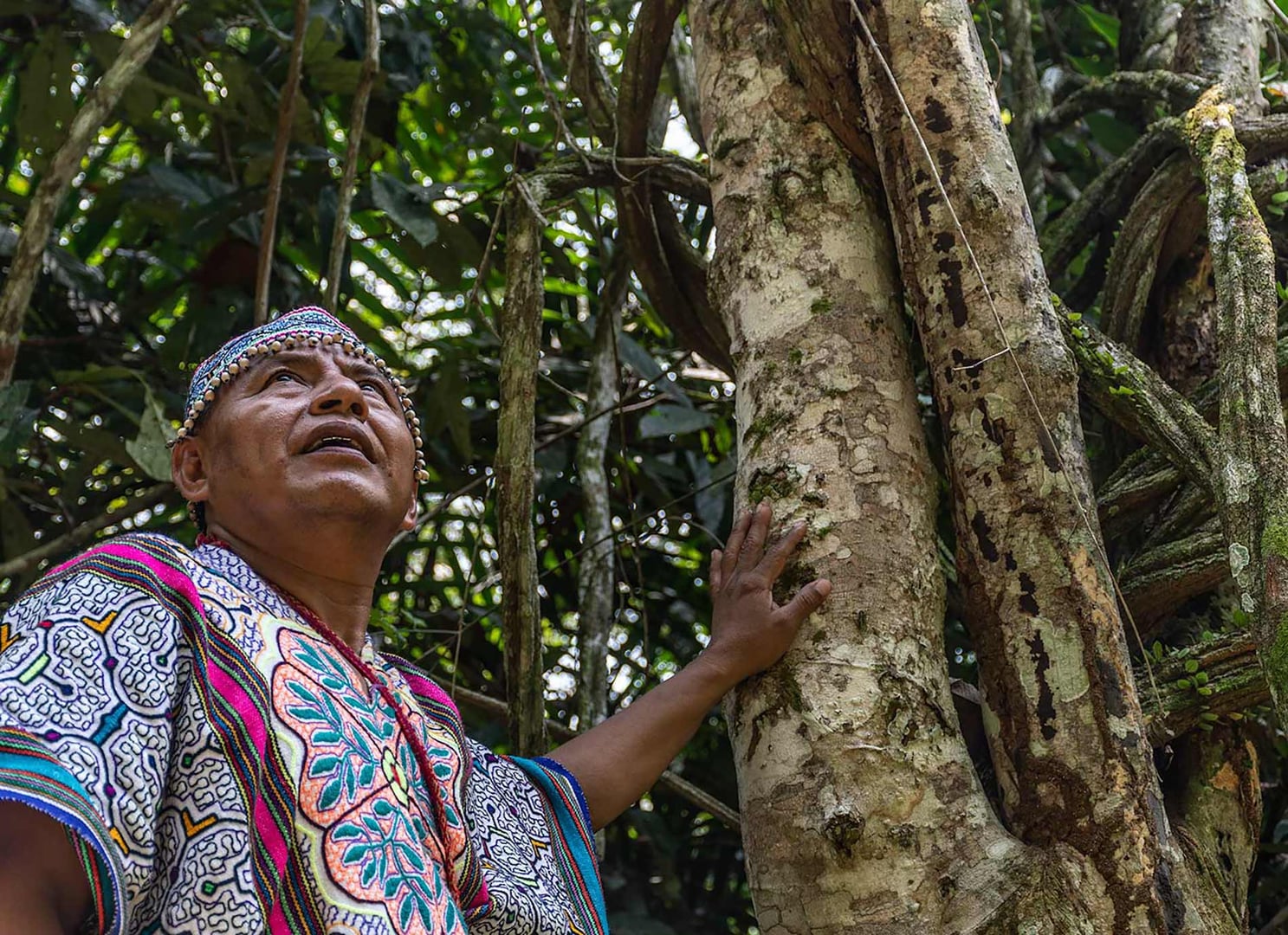Ayahuasca Healing Ritiro + Ritiro di Integrazione di 5 Giorni