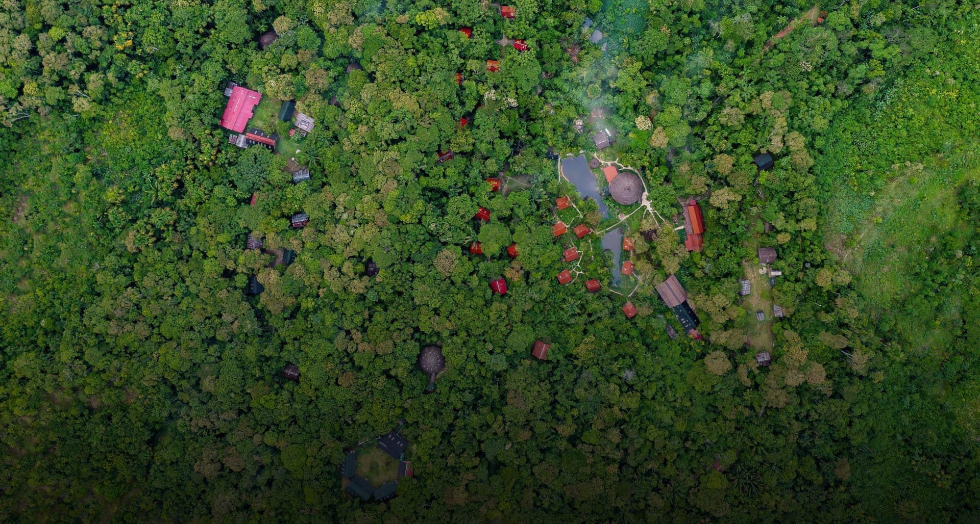 Ayahuasca Healing Ritiro + Ritiro di Integrazione di 5 Giorni