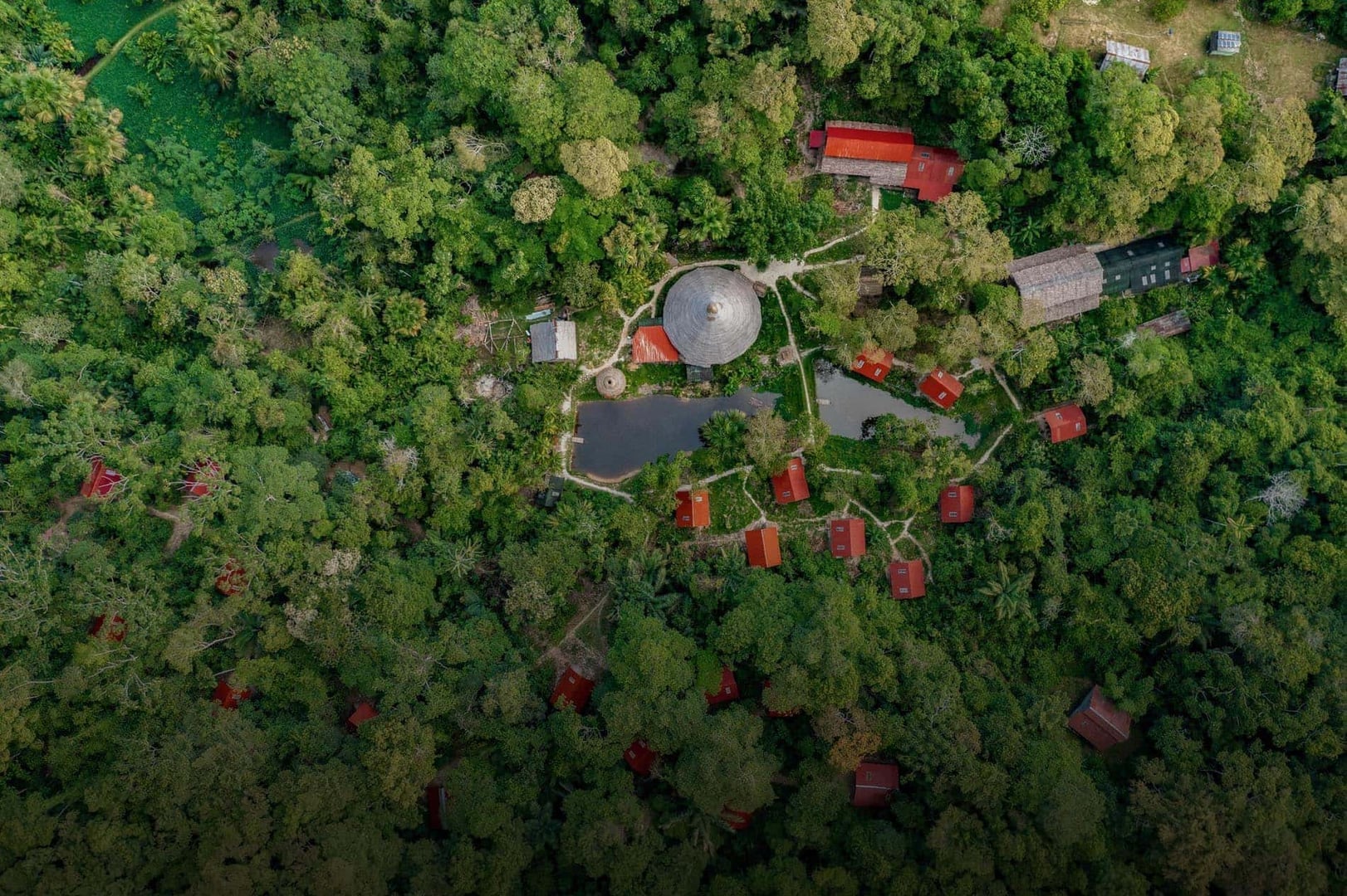 Ayahuasca Healing Ritiro + Ritiro di Integrazione di 5 Giorni