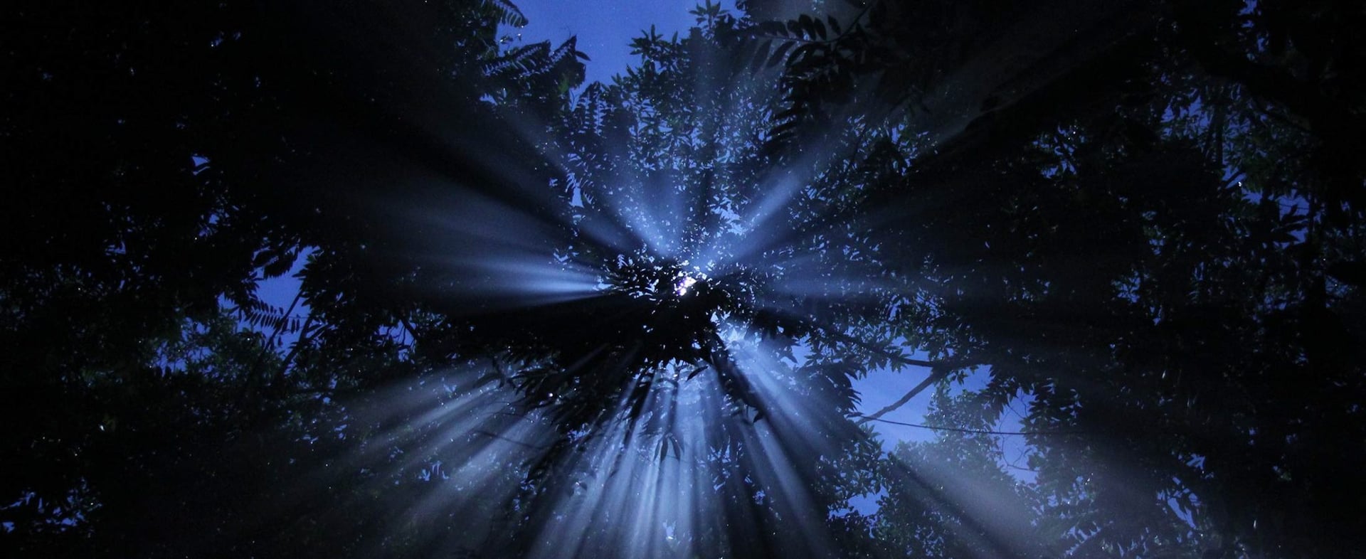 Ayahuasca Healing Ritiro + Ritiro di Integrazione di 5 Giorni