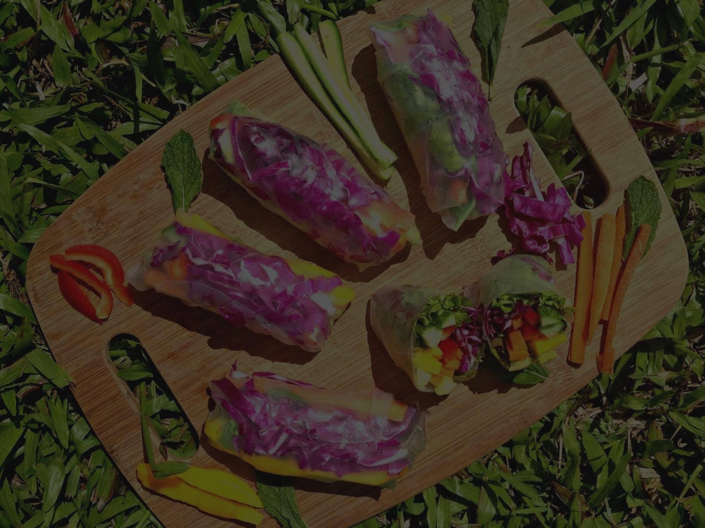 Ayahuasca Healing Ritiro + Ritiro di Integrazione di 5 Giorni