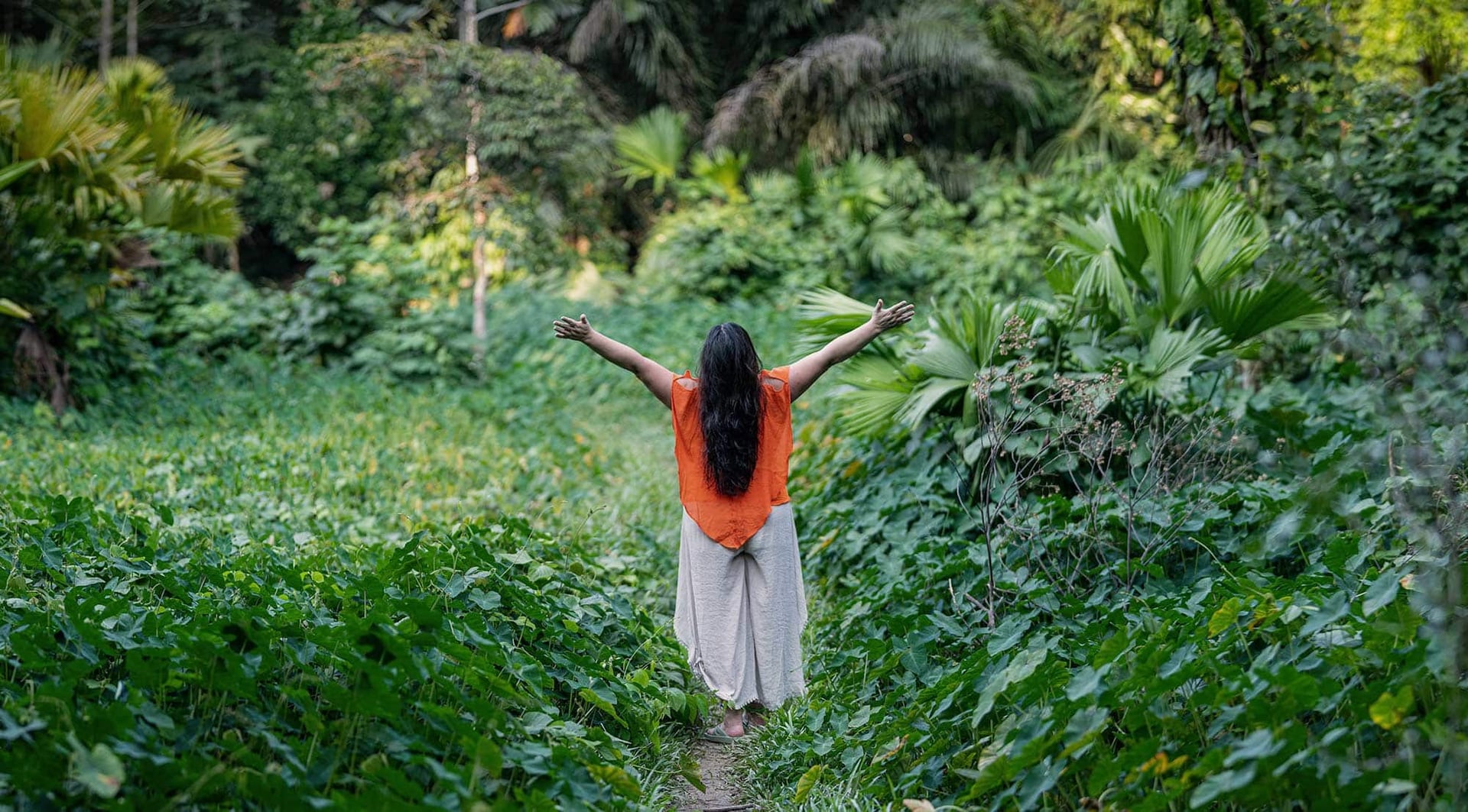 Ayahuasca Healing Ritiro + Ritiro di Integrazione di 5 Giorni