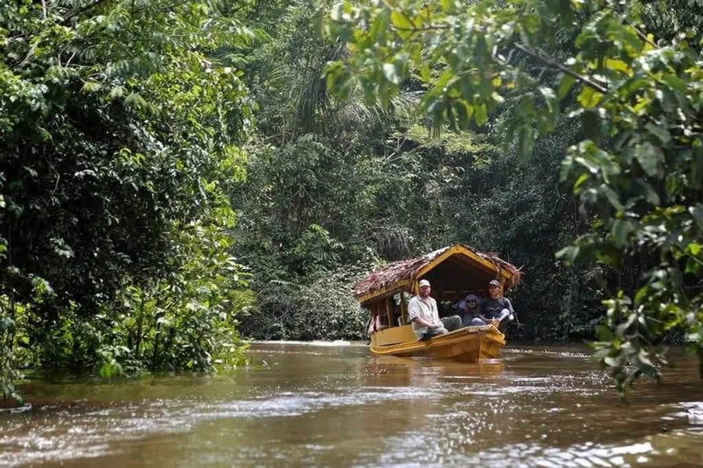 Ayahuasca Healing Ritiro + Ritiro di Integrazione di 5 Giorni