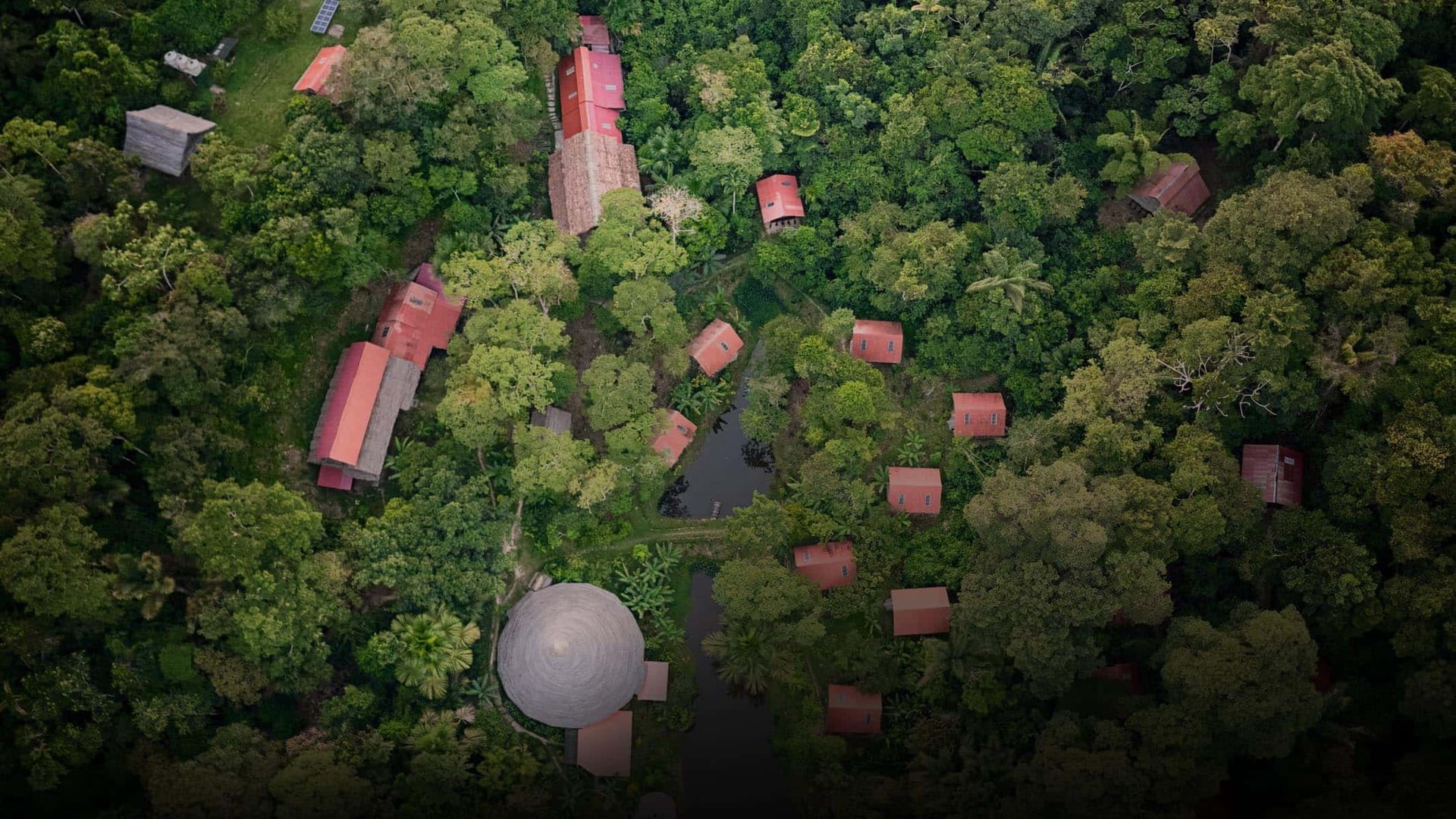 Ayahuasca Healing Ritiro + Ritiro di Integrazione di 5 Giorni