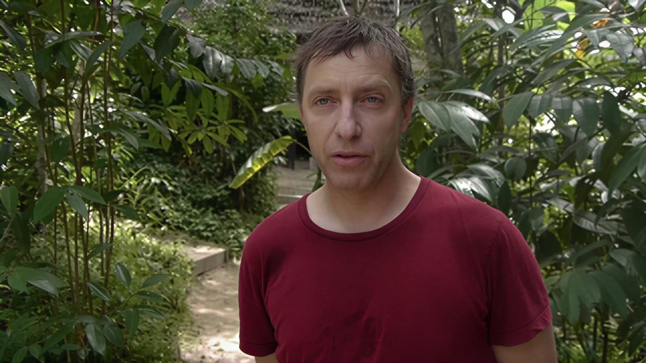 Ayahuasca Healing Ritiro + Ritiro di Integrazione di 5 Giorni