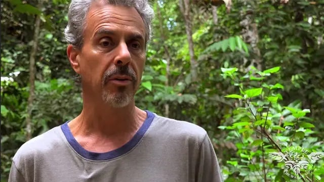 Ritiro di guarigione con Ayahuasca per donne