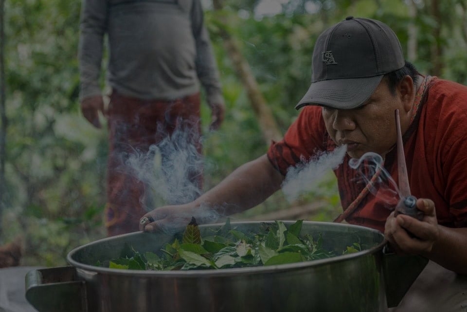 Ritiro Ayahuasca per Operatori Sanitari 2026