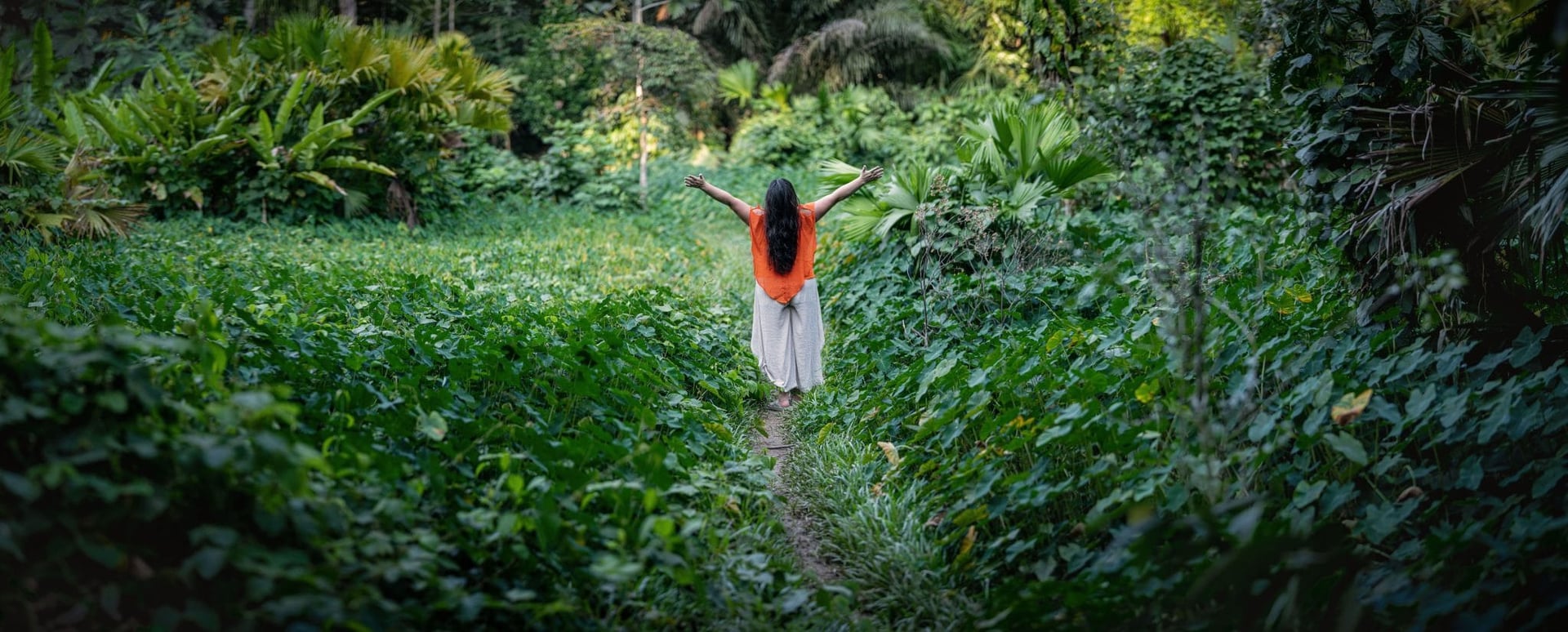 Ritiro Ayahuasca per Operatori Sanitari 2026