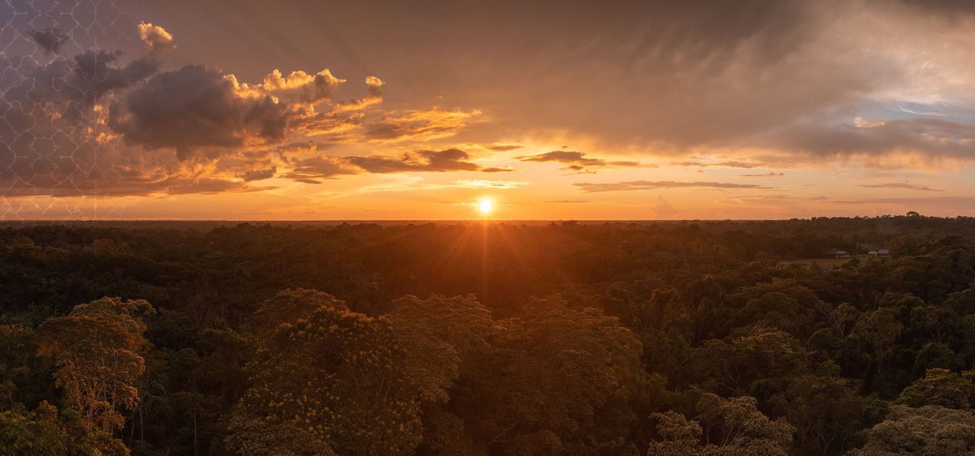 Living in Alignment Ayahuasca Healing Ritiro + Estensione di Integrazione di 5 Giorni Ritiro