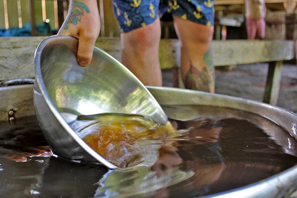 Corso di guarigione e potenziamento con ayahuasca di quattro settimane