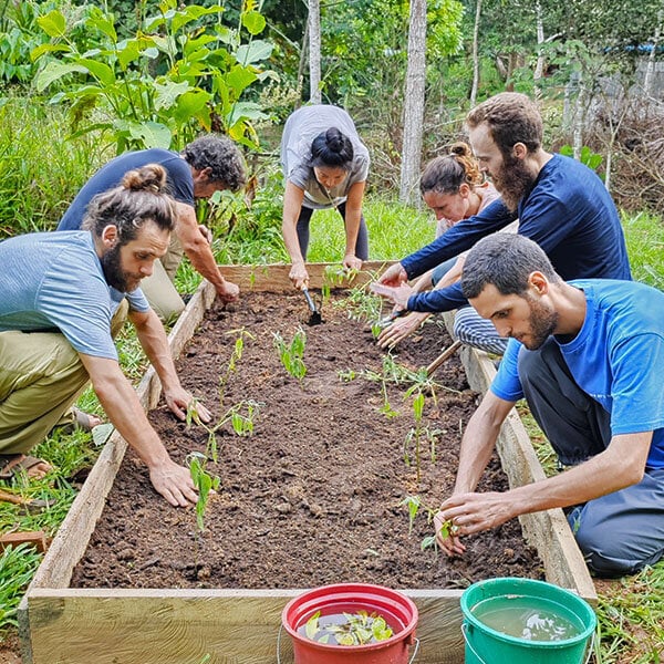 Corso di Iniziazione all'Ayahuasca Shipibo di Otto Settimane in Perù – 5 luglio - 29 agosto 2026