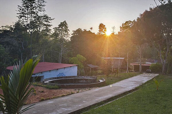 Corso di Iniziazione all'Ayahuasca Shipibo di Otto Settimane in Perù – 5 luglio - 29 agosto 2026