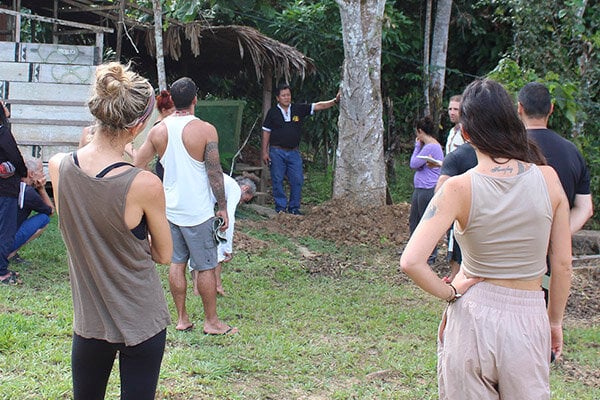 Corso di Iniziazione all'Ayahuasca Shipibo di Otto Settimane in Perù – 5 luglio - 29 agosto 2026
