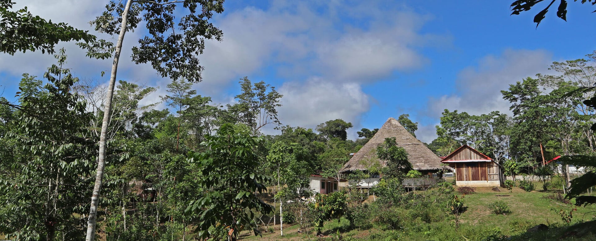 Corso di Iniziazione all'Ayahuasca Shipibo di Otto Settimane in Perù – 5 luglio - 29 agosto 2026