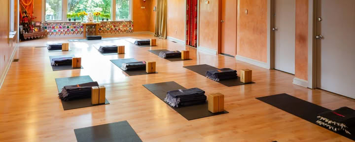Vinyasa Flow ~ Livello I/II