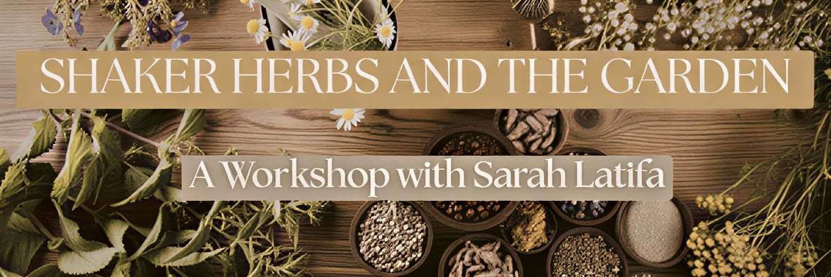 Shaker Herbs e il Giardino Medicinale — The Abode
