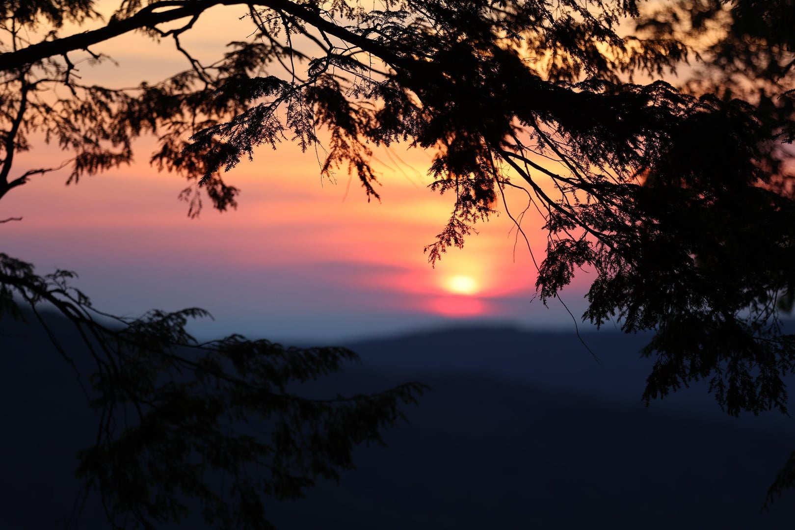 Monthly Zikr — La Dimora