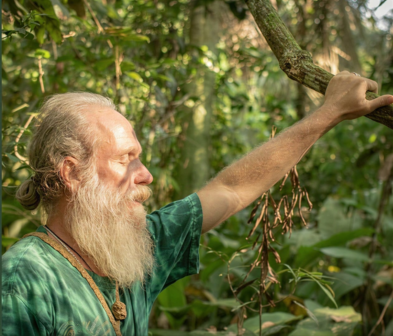 Cerimonia dell’Ayahuasca